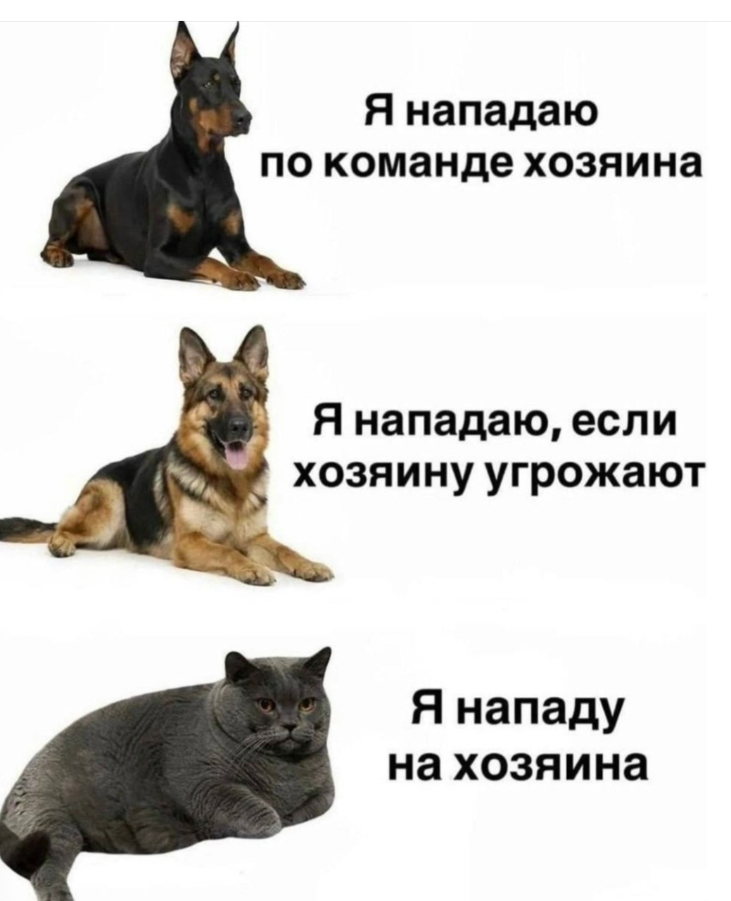 Maikl7171 в LOOKY — публикация