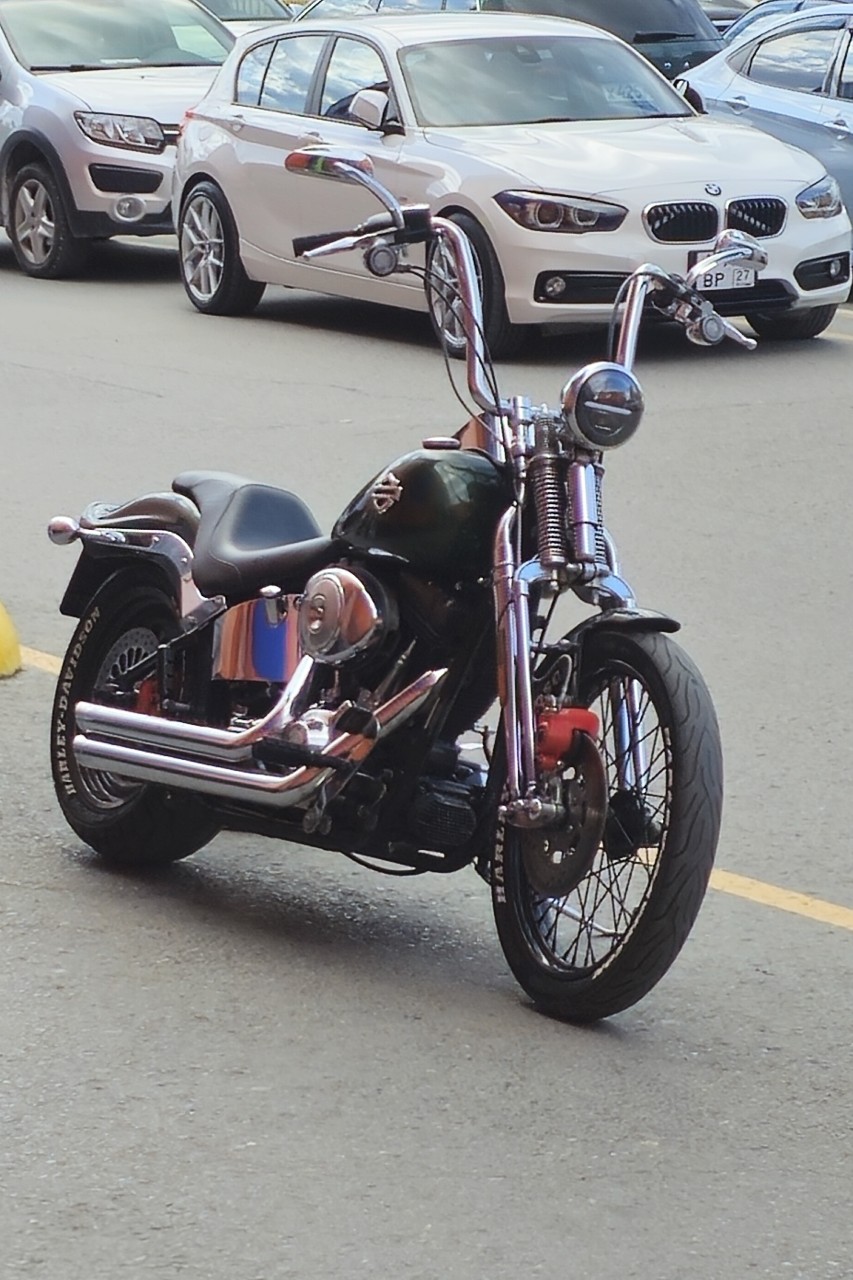 Совершенно случайно Harley Davidson!