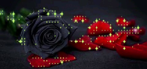marina_myasischeva в LOOKY. . Перед воротами Эдема...