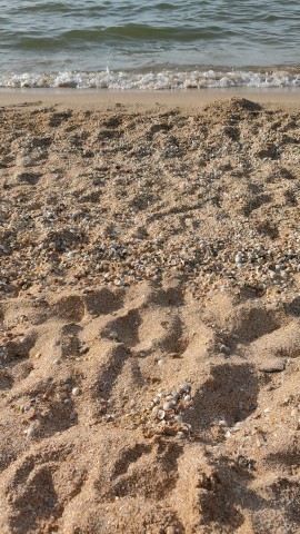 ivanlitviak в LOOKY. . [#море ](море)[#отды...