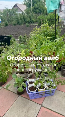 tatyana_kazakova_sw in LOOKY. . «Как я всё успеваю? ...
