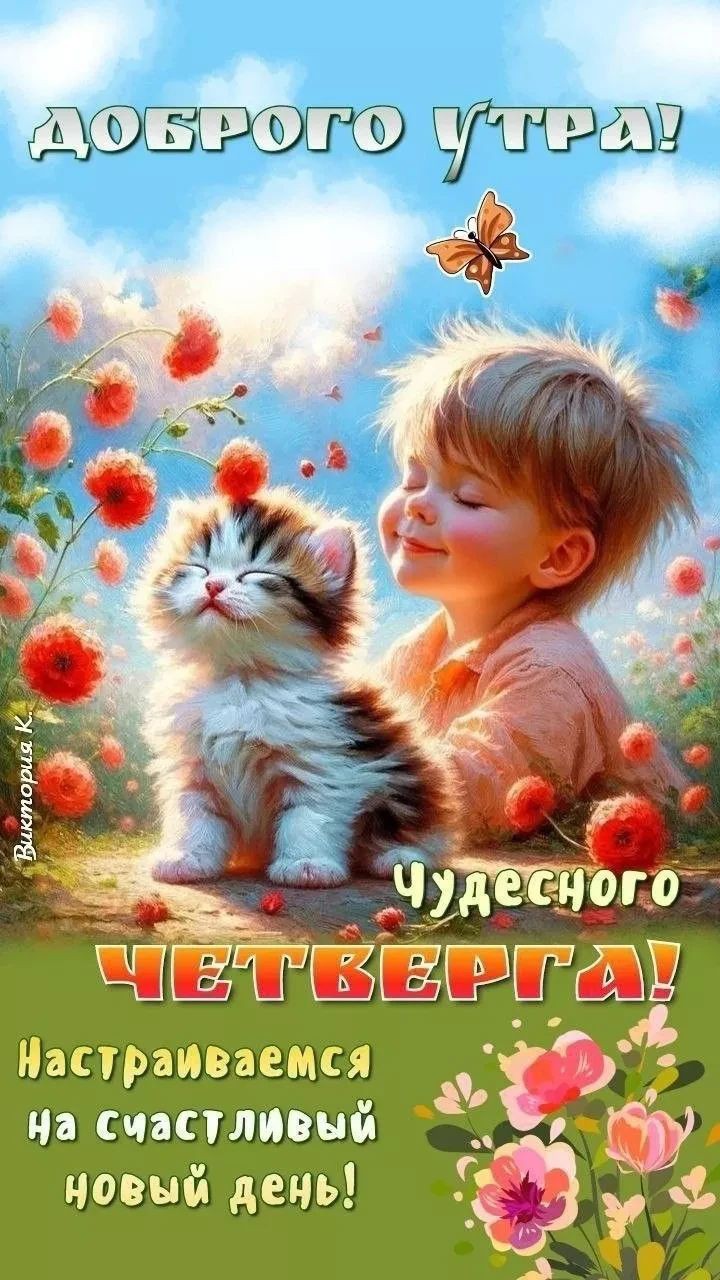  в LOOKY — публикация