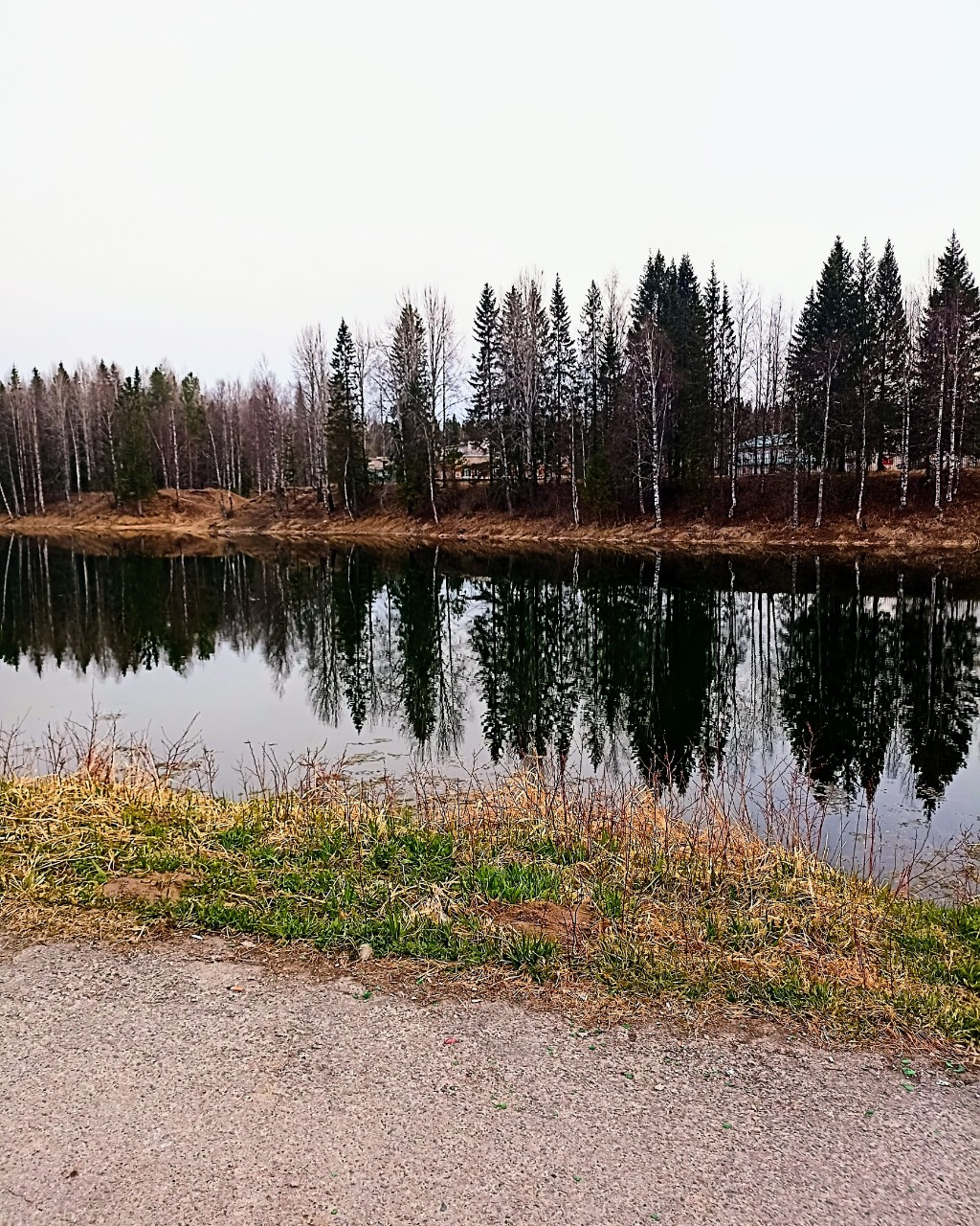 Katya Yozhik в LOOKY — В парке г. Мирный Архангельской области [#напрогулке](напрог