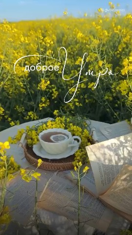 Вячеслав Кузнецов в LOOKY — Доброе утро