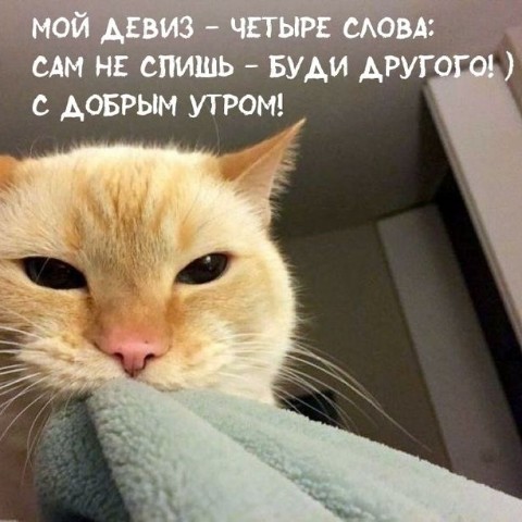 ARISHA в LOOKY. . С добрым утром! ❄😺
...