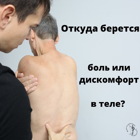 Looky_1683841311997 в LOOKY. #боль,#дискомфорт,#больвспине,#больвпояснице,#больвсуставах,#спорт,#реабилитация,#позвоночник,#нутрициолог,#биомеханика,#ода,#лфк,#движениебезболи,#кифоз,#лордоз,#холка. Откуда берется  боль...