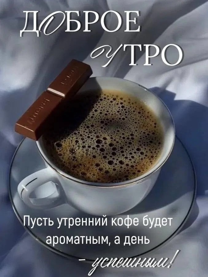 Сириус в LOOKY — публикация
