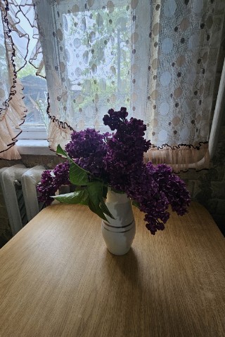 Looky_177784876783505 в LOOKY. . Очень пахнет и радуе...