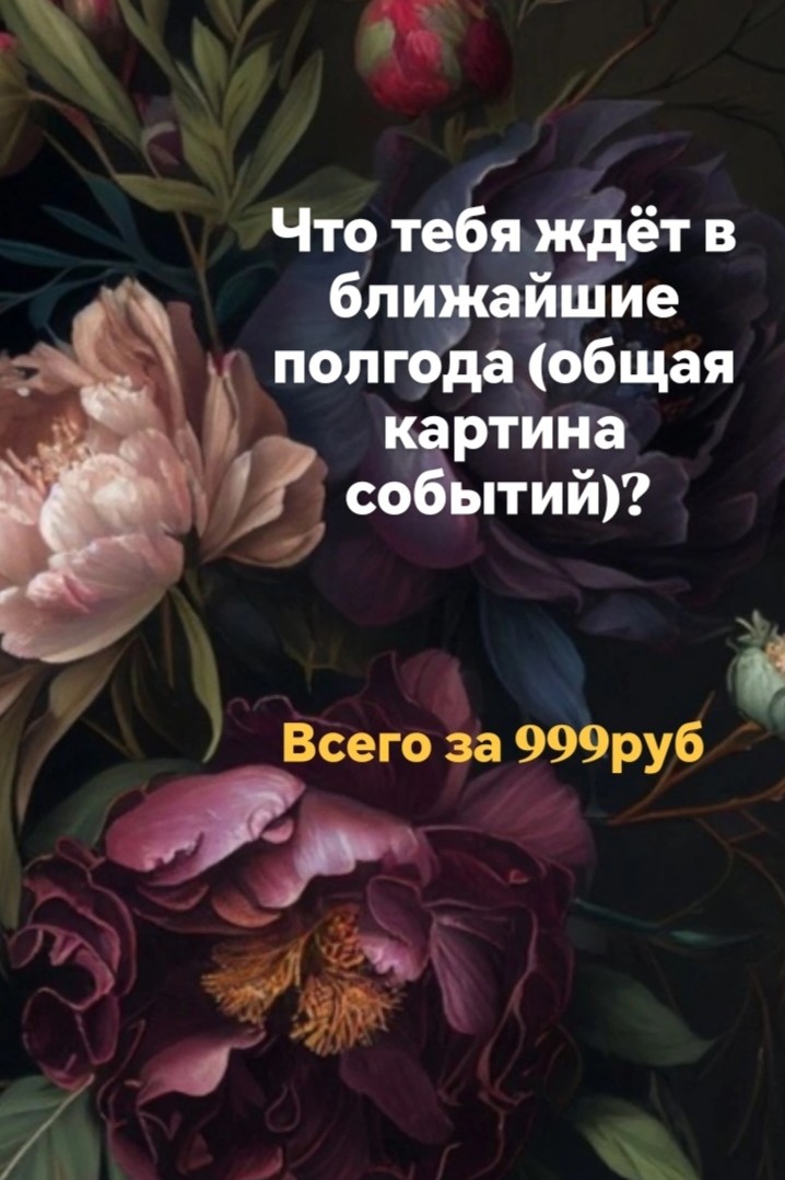 Таролог  Рена Эльф в LOOKY — фото 2