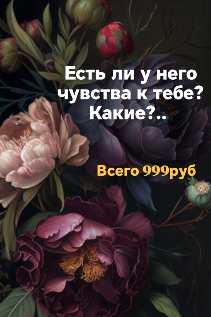 Таролог  Рена Эльф в LOOKY — фото 6