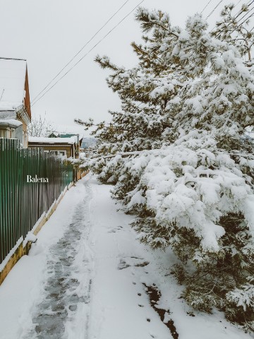 Алёна в LOOKY. #зима,#снег,#мороз,#winter,#snow. Последний день зимы ...