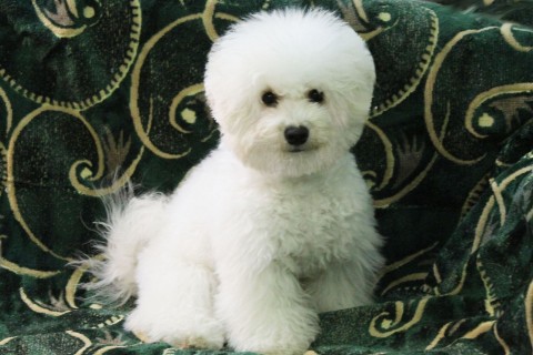 Looky_177634692293530 в LOOKY. . 