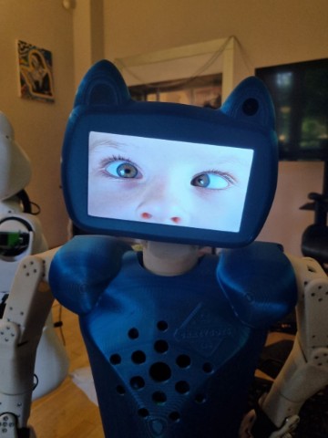 CRAZYBOTS в LOOKY. #робот,#роботы,#робототехника,#стартап,#robot,#robotics,#crazybots,#технологии,#ии,#ai. Робот Chatty может в...