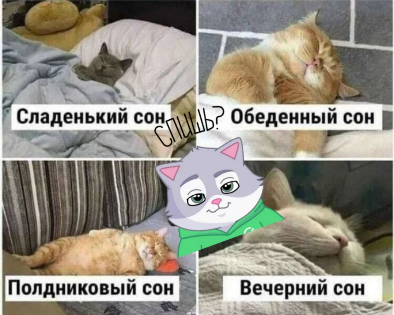 stroyneem_s_elenkoy в LOOKY в LOOKY — Дорогие мои, всем привет! 

Сегодня  в ленте просто кат-комп