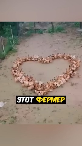 ruzizoda7000 в LOOKY. . 