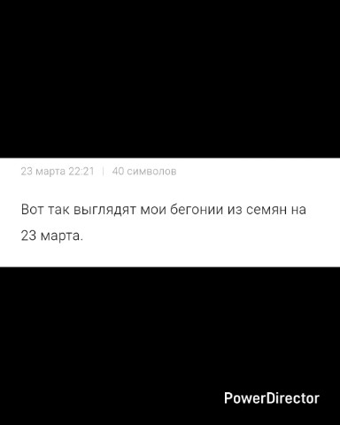 Ирина Вычужанина в LOOKY. #бегония,#бенонияизсемян,#дача,#садоводство,#дача2025,#рассада. Продолжаю выращивать...