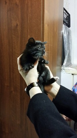 yla_blt в LOOKY. . 9 лет назад) ) ) 