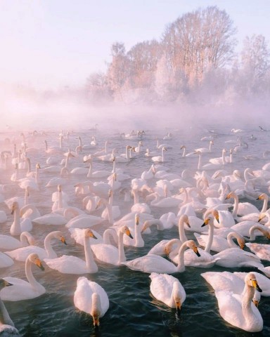 Wonderful World в LOOKY. #мир,#эстетика,#LOOKY_контент,#recomended,#fyp,#природа,#вид,#world,#top,#топ,#looky_looks,#sub,#подпишись,#ЛАЙК,#like,#foryou. Алтайский край #мир ...