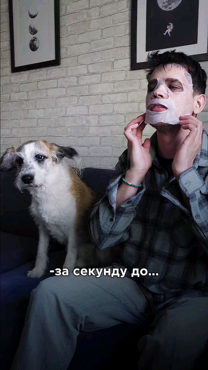 Harly_Miami в LOOKY. #harly,#dog,#питомец. Ежедневные уходовые ...