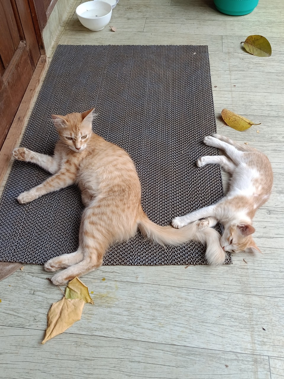 THE_original. в LOOKY — фото 4