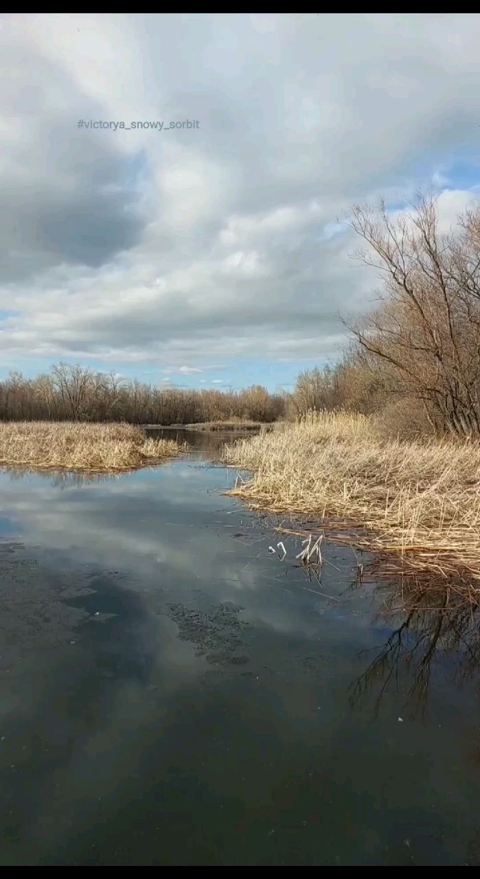 volga в LOOKY. #victorya_snowy_sorbit,#volga,#видео,#релакс,#снежныйсорбит,#рекаволга,#природа,#nature,#ice,#natureblog,#blog. Нижняя Волга, конец ...