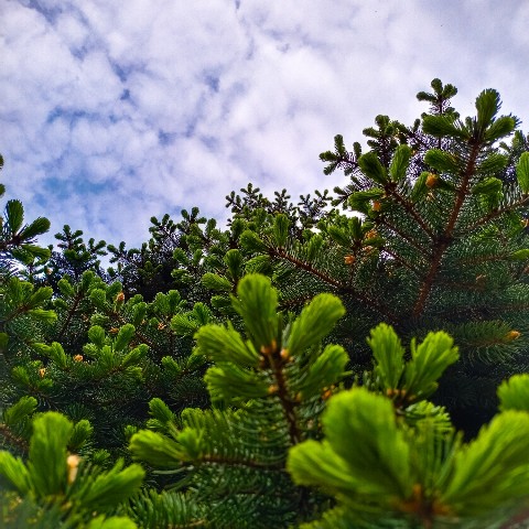 Mihnovets в LOOKY. #photo,#photography,#photoonphone,#nature. #photo #photography ...