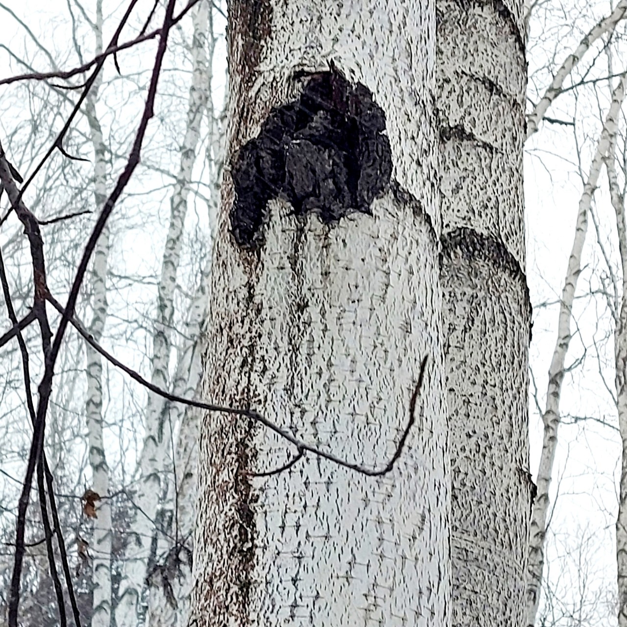 Анна_Крымская в LOOKY — фото 4