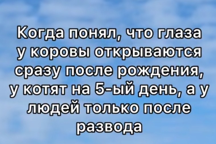 literator_99