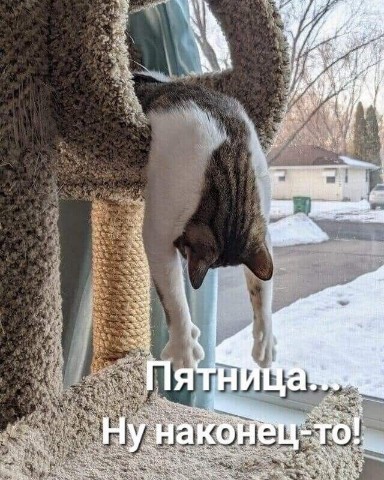 Татьяна Фриланс в LOOKY. #мама_на_фрилансе,#пятница,#выходные,#весна,#настроение,#любовь,#семья. УРА, ПЯТНИЦА 💃

Мы ...