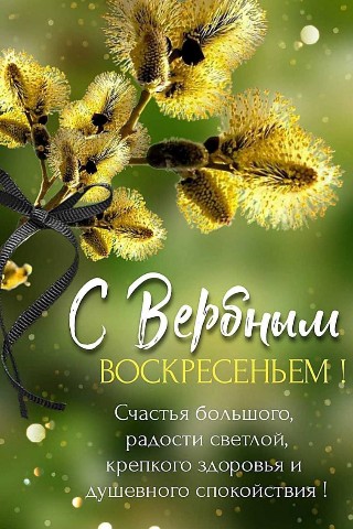 Аля Бик в LOOKY. . 