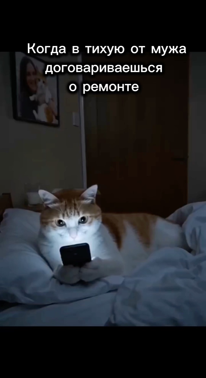 master_sasha в LOOKY. #моехобби,#мойпитомец,#открываюмир,#допосле. Ремонт дело личное. ...