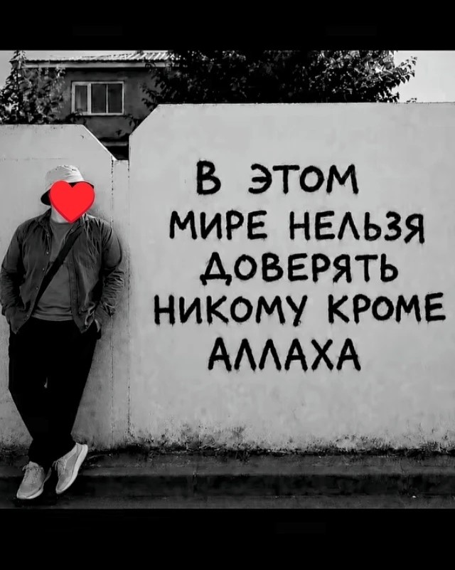 Звёздный Панда in LOOKY. . 