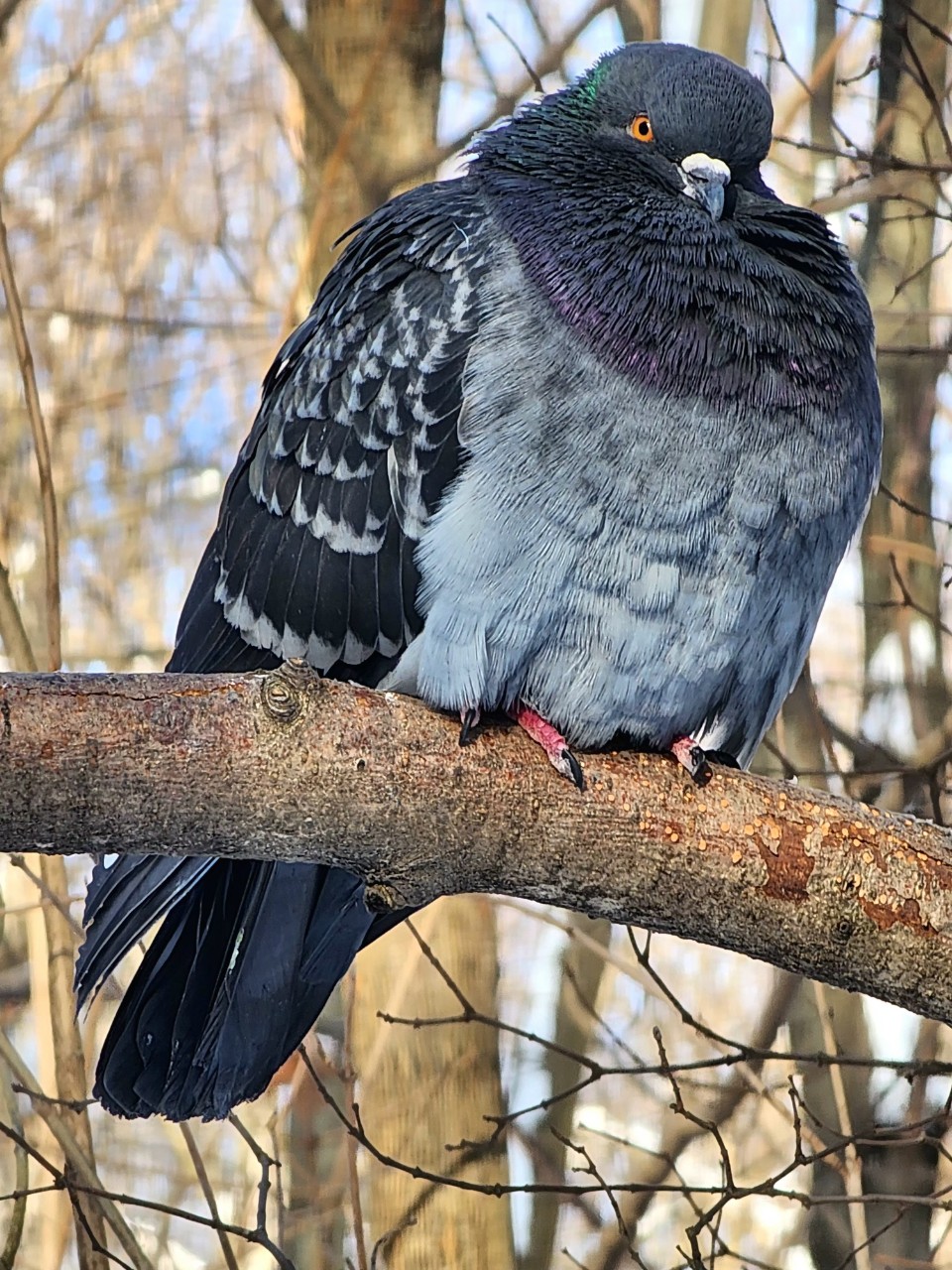 Светлана в LOOKY — фото 1