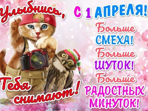 Аля Бик в LOOKY. . 