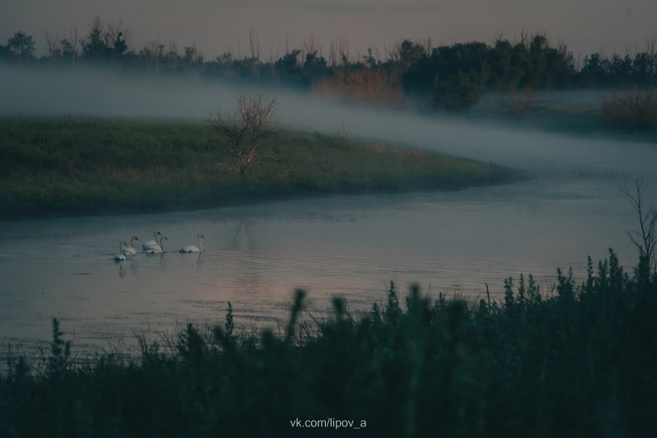 Lipov в LOOKY — фото 6