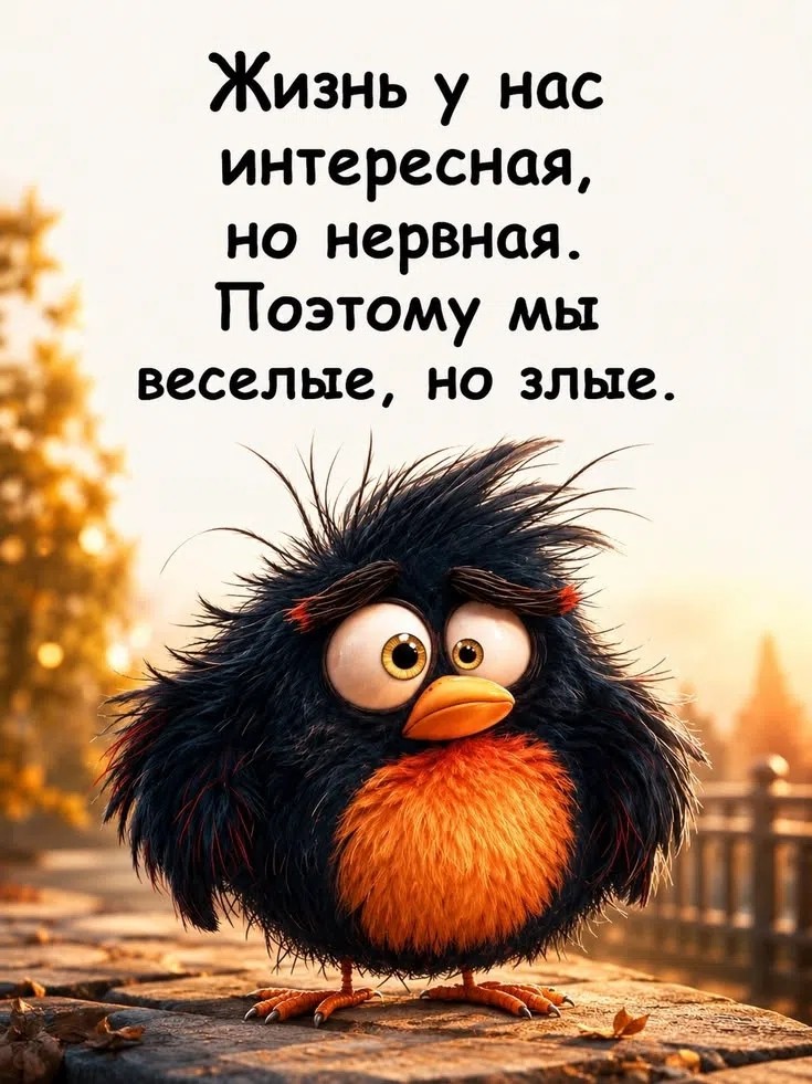 Looky_1707557660114 в LOOKY — публикация