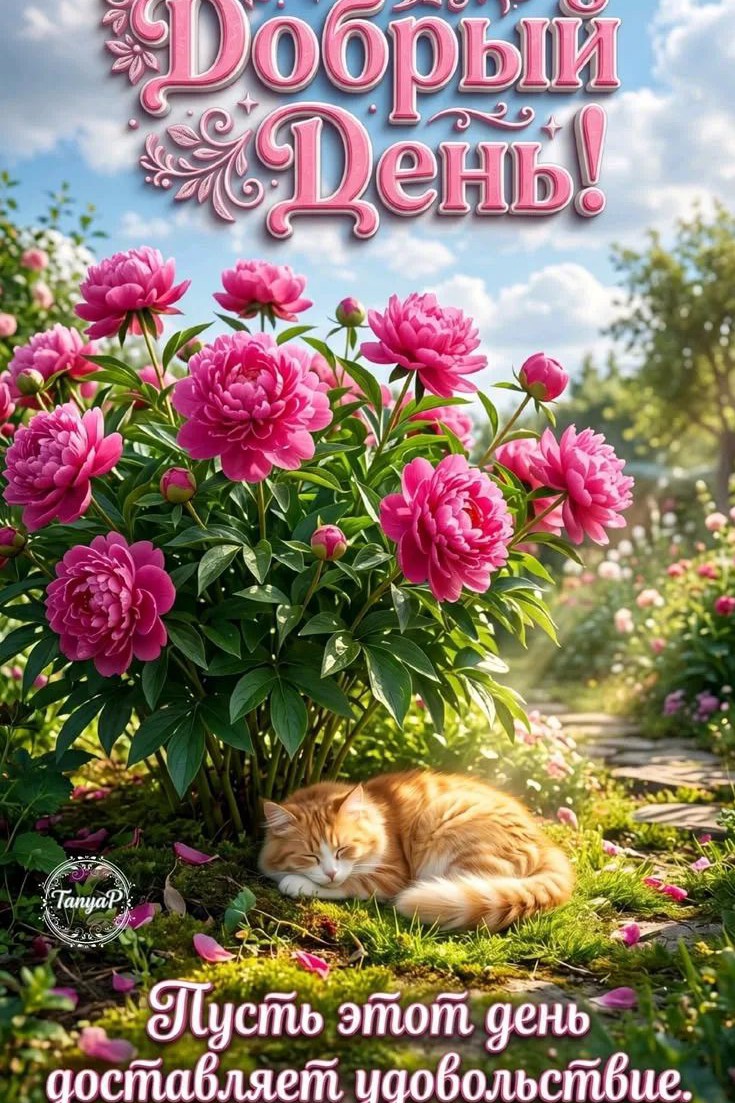 irina b. в LOOKY — Добрый день! Всем прекрасного солнечного дня! 🫶✨🌞⛱️🏝️🎡
