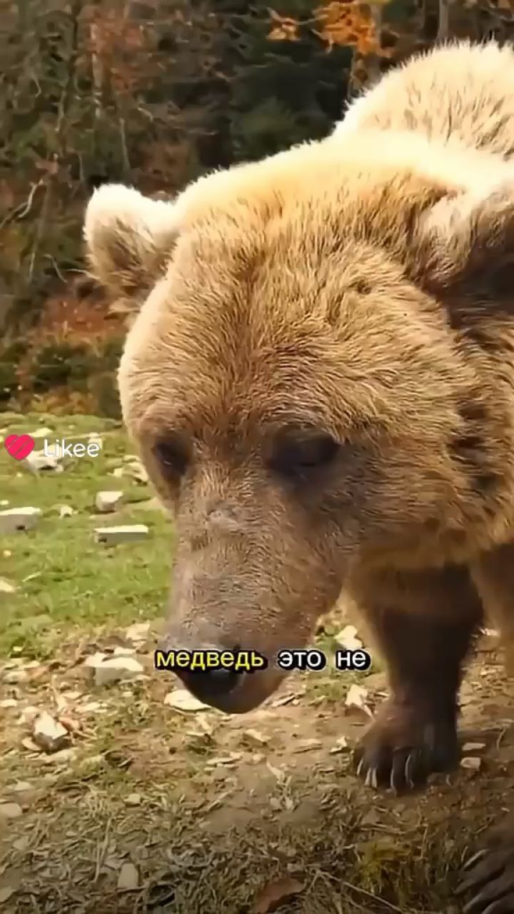 Юрий в LOOKY — публикация