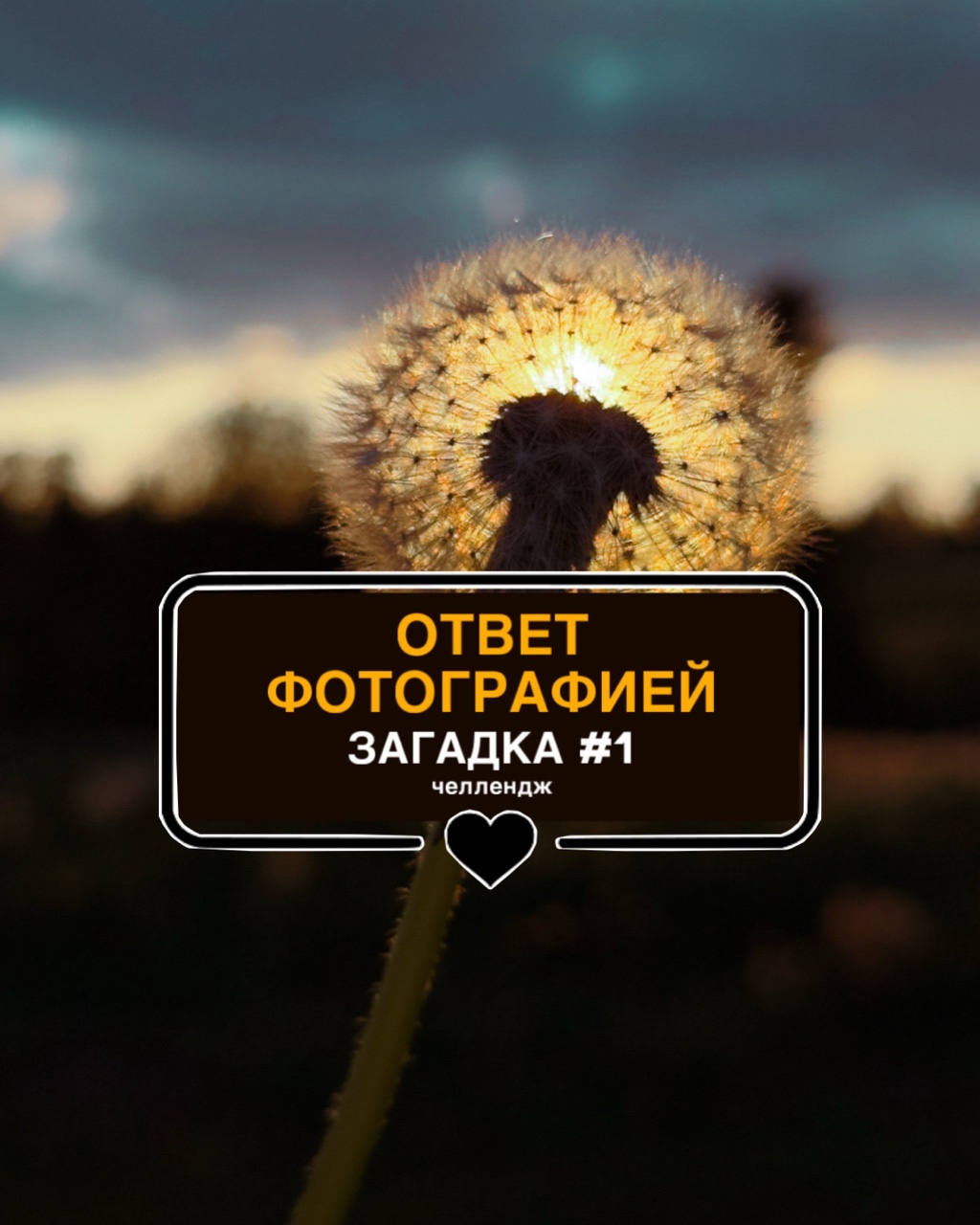 katarsis.prv в LOOKY. #. 💭ЗАГАДКА # 1

Это: ...