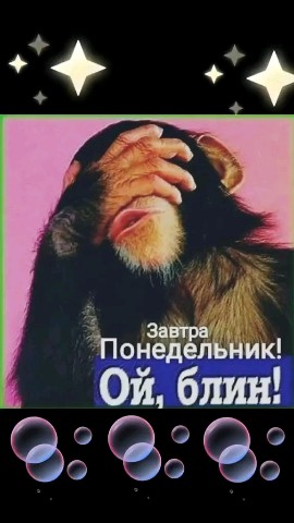 ВОЛК СЕРЫЙ в LOOKY — публикация