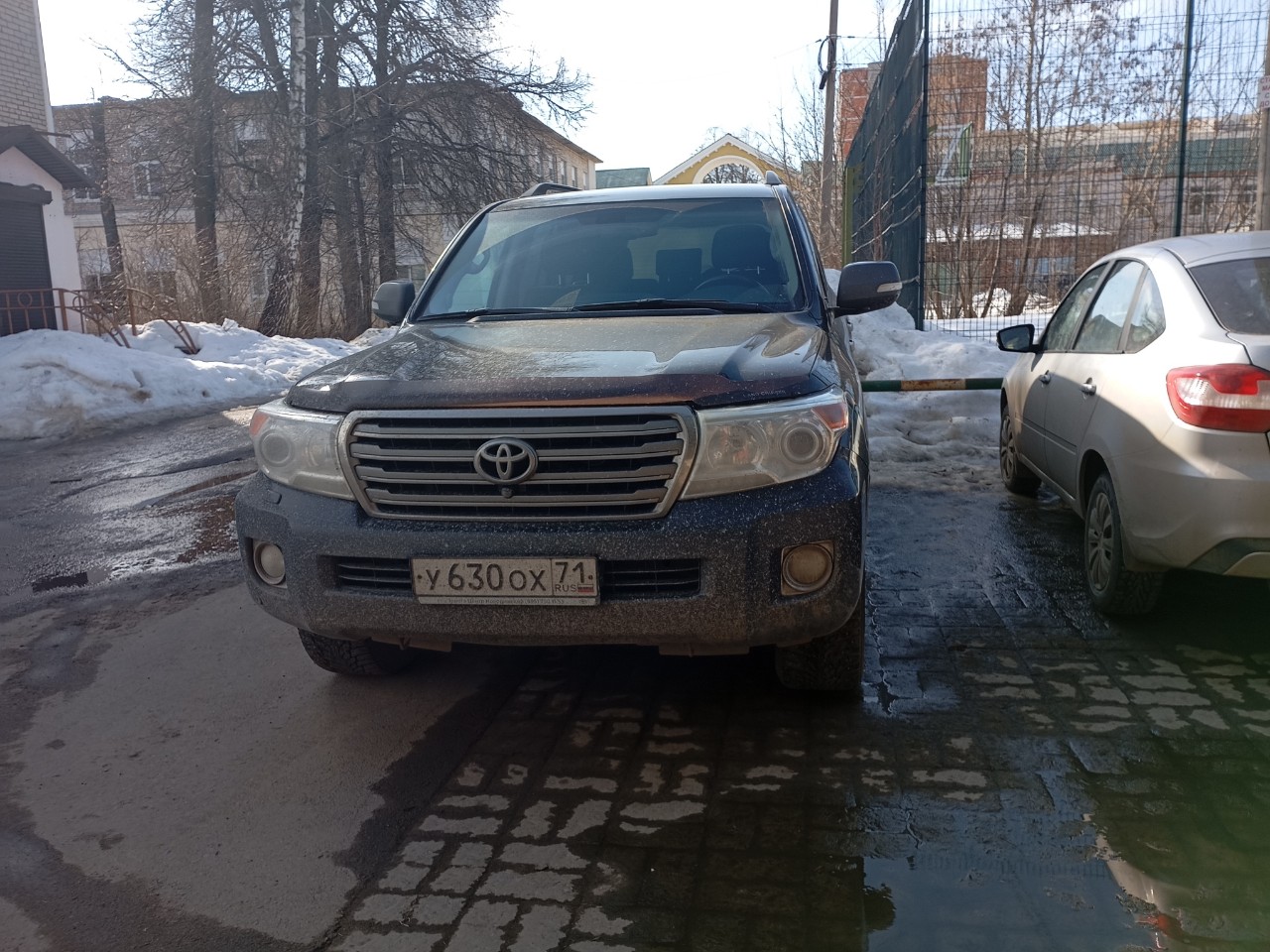 Рассветный Пёс in LOOKY. . 
