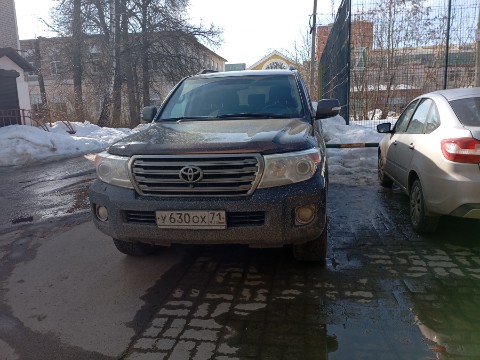 Рассветный Пёс в LOOKY. . 