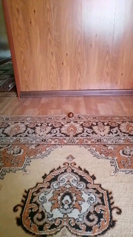 ИринаМилая in LOOKY. . [#любимыйкотик](люби...