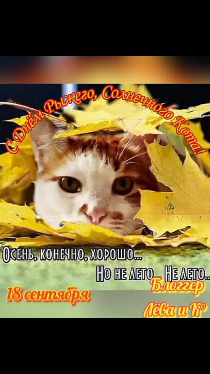 pserge61 в LOOKY — <<СЕГОДНЯ 18 СЕНТЯБРЯ - ДЕНЬ РЫЖЕГО КОТА!>>
***
Ты - мой сам