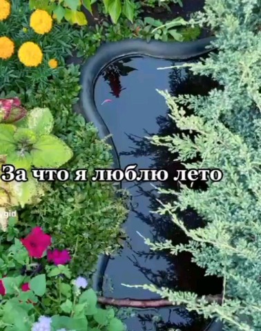sveta_leta в LOOKY. . 🌞🏖🏕🌞 Ах, лето!.....
