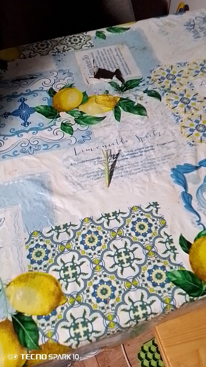 voloschina93 в LOOKY. . У нас не ж данный го...