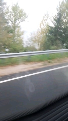 Mutant9 in LOOKY. . Нарач