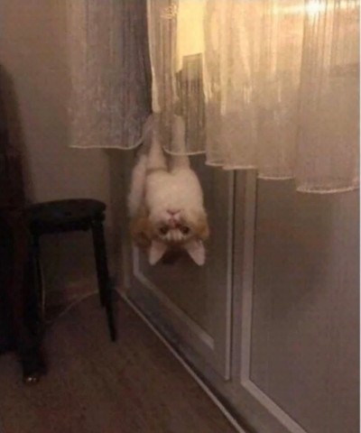 max.im867 в LOOKY. . 