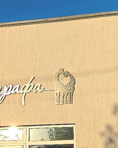 vi в LOOKY. . 🦒👩🏼‍❤️‍👨🏼 [#lik...