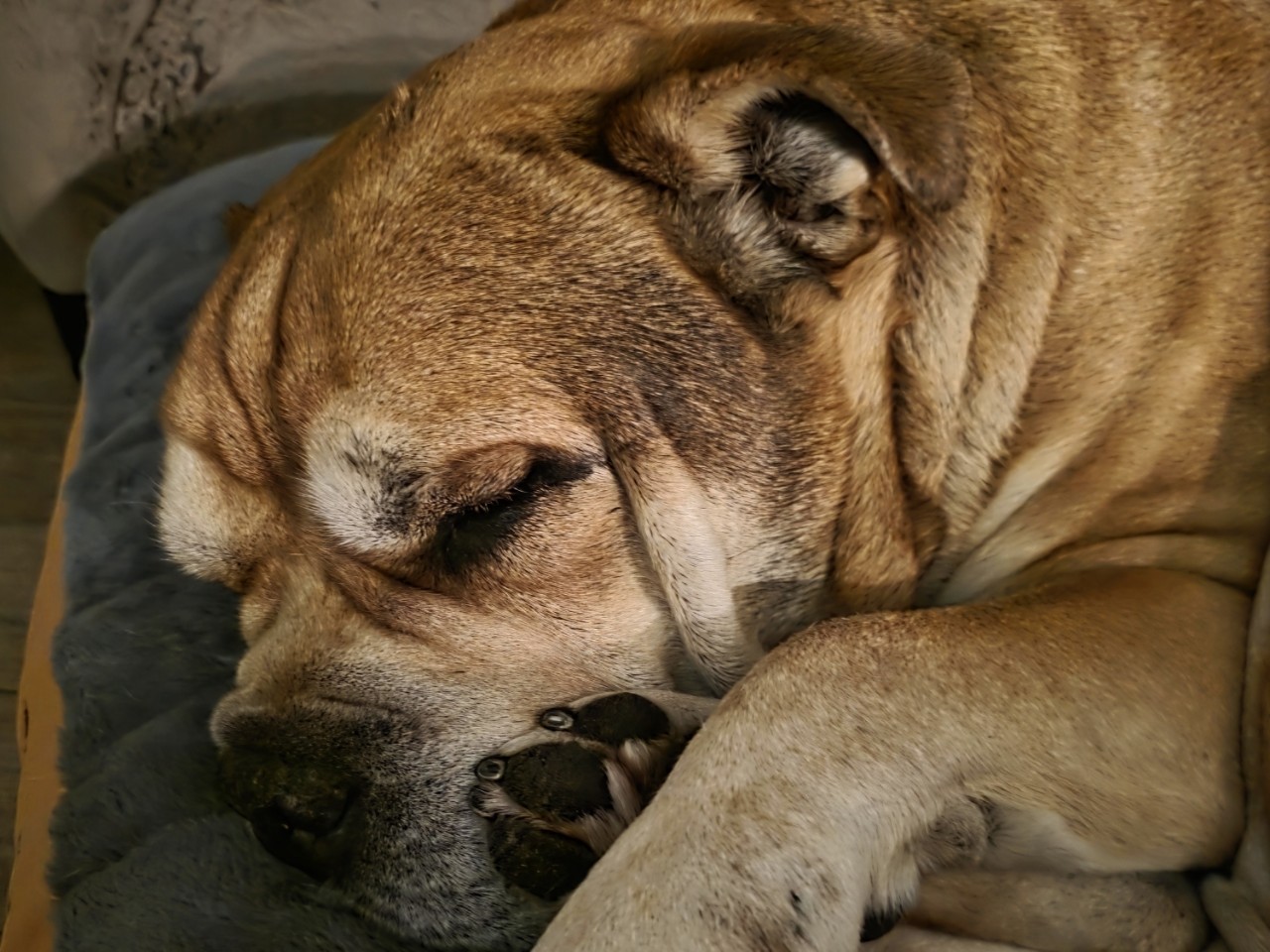 anbarinova в LOOKY. . 